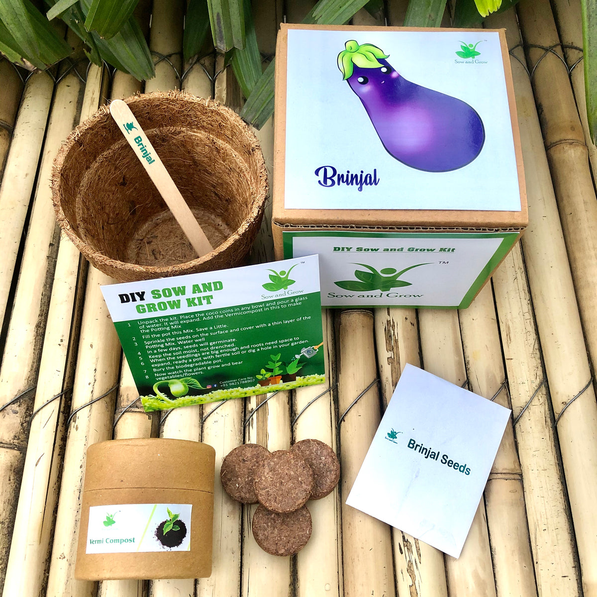 DIY Gardening 8 Vegetable Kits | Capsicum + Brinjal + Okra + Chilli + Tomato + Bitter Gourd + Bottle Gourd + Beans