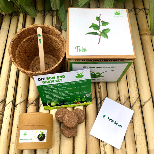 Sow and Grow DIY Gardening Kit of Rama Tulsi / Holy Basil (Grow it Yourself Kit)