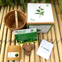 Load image into Gallery viewer, Sow and Grow DIY Gardening Kit of Rama Tulsi / Holy Basil (Grow it Yourself Kit)
