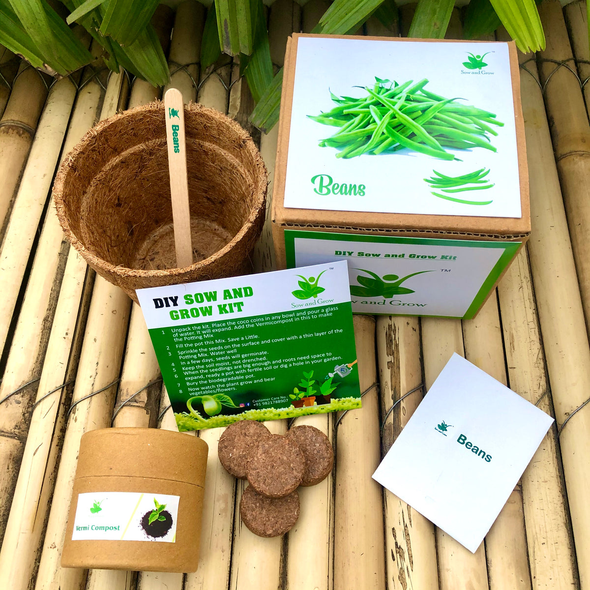 Sow and Grow DIY Gardening Kit of Beans (Grow it Yourself Vegetable Kit)