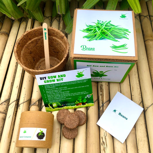 Sow and Grow DIY Gardening Kit of Beans (Grow it Yourself Vegetable Kit)