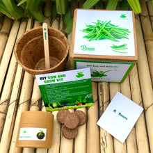 Load image into Gallery viewer, Sow and Grow DIY Gardening Kit of Beans (Grow it Yourself Vegetable Kit)
