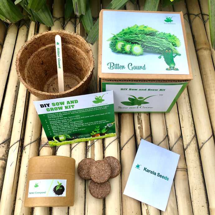 Sow and Grow DIY Gardening Kit of Karela/ Bitter Gourd (Grow it Yourself Vegetable Kit)