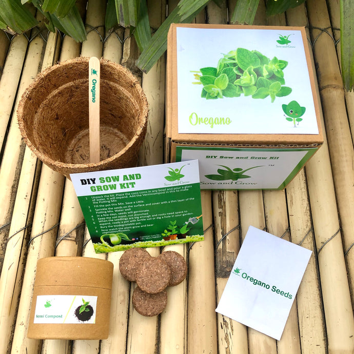 Sow and Grow DIY Gardening Kit of Oregano (Grow it Yourself Herb Kit)
