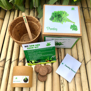 Sow and Grow DIY Gardening Kit of Parsley Herb | Ideal for 15-25 degrees temperature | (Grow it Yourself Herb Kit)