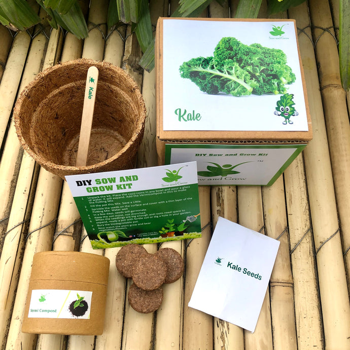 Sow and Grow DIY Gardening Kit of Kale (Grow it Yourself Vegetable Kit)