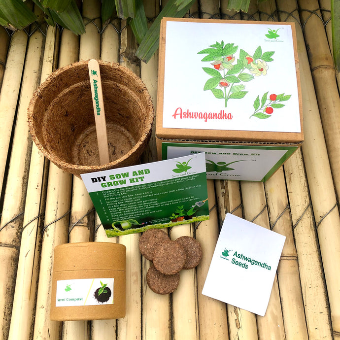Sow and Grow DIY Gardening Kit of Ashwagandha | Grow it Yourself Seed Starter Grow Kit of Medicinal Plants for Beginner Gardeners