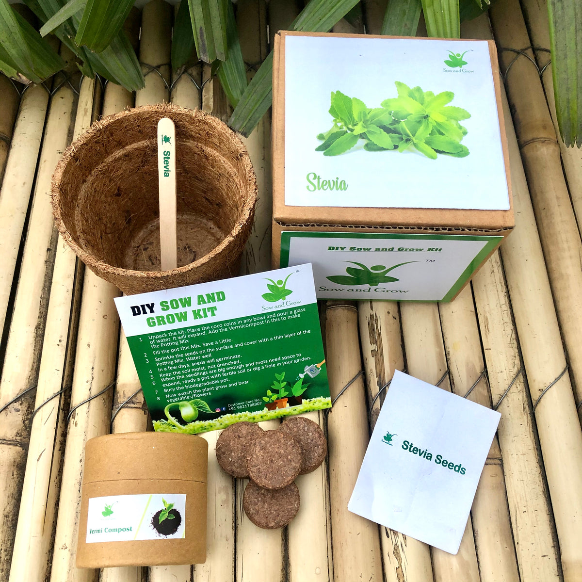 DIY Gardening 4 Medicinal Plant Kits  | Tulsi + Moringa + Ashwagandha + Stevia