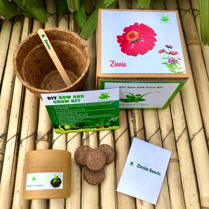 Sow and Grow DIY Gardening Kit of Zinnia Flowers | Best suited for 25-40 degrees temperatures