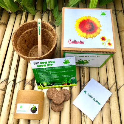 DIY Gardening 6 Summer Flower Kits Combo | Marigold + Sunflower + Cosmos + Vinca + Gaillardia +Zinnia