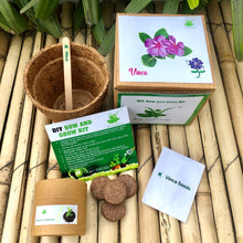 Load image into Gallery viewer, Sow and Grow DIY Gardening Kit of Vinca Flowers
