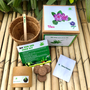 Sow and Grow DIY Gardening Kit of Vinca Flowers