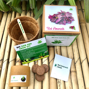 Winter Special: DIY Gardening Leafy Kits | Spinach + Fenugreek + Red Amaranth
