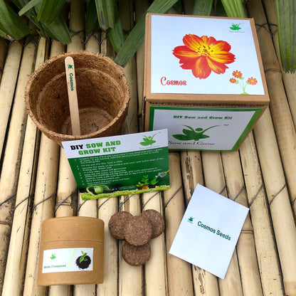 DIY Gardening 6 Summer Flower Kits Combo | Marigold + Sunflower + Cosmos + Vinca + Gaillardia +Zinnia