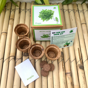 Sow and Grow DIY Gardening Kit of Arugula Rocket Leaves (Grow it Yourself Salad Kit)
