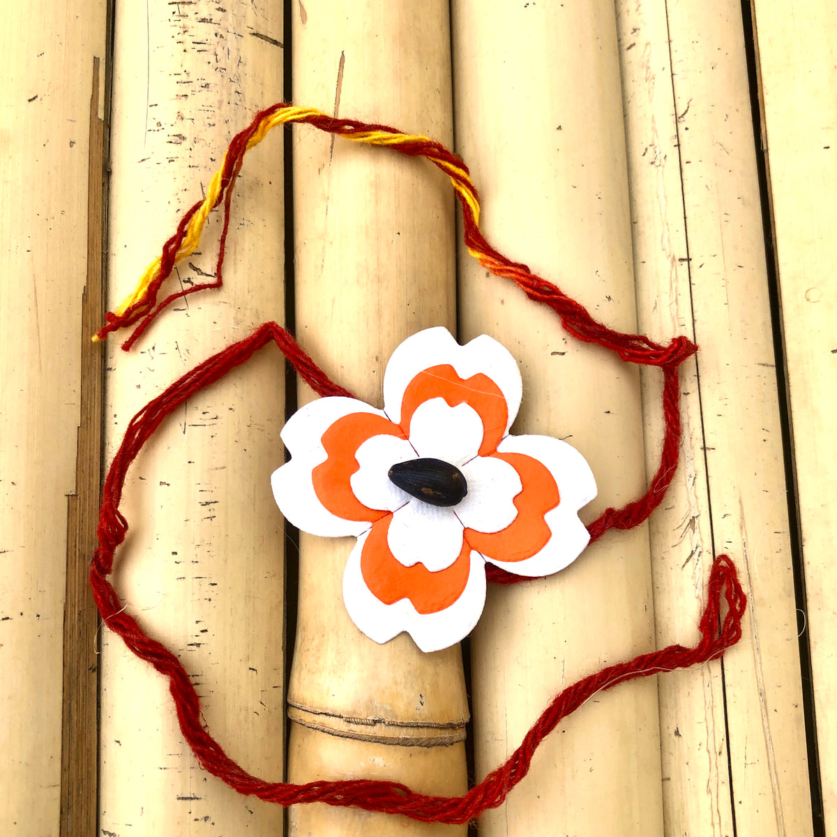 Bhaiya Bhabhi Plantable Seed Paper Rakhi Set
