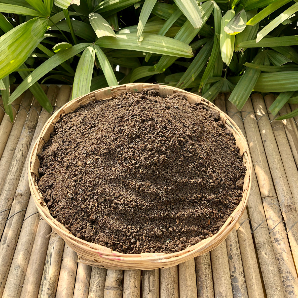 Premium Vermicompost Manure For Plants: 10 Kg Pack