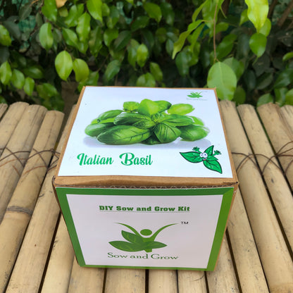 Sow and Grow DIY Gardening Kit of Italian Basil Genovese (Grow it Yourself Herb Kit)