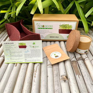 Microgreens Grow Kit: Broccoli 20 grams || Easy to Use Kit for Beginner Gardeners