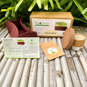 Microgreens Grow Kit: Cauliflower 20 grams || Easy to Use Kit for Beginner Gardeners