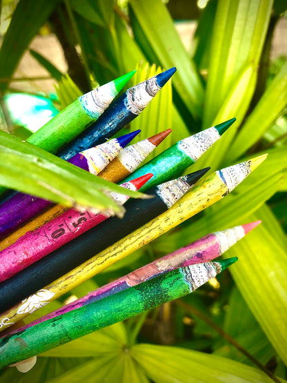 10 Plantable Recycled Seed Colour Pencils with Reusable Pencil Box | Eco-Friendly Stationery | Best Return Gift for Kids