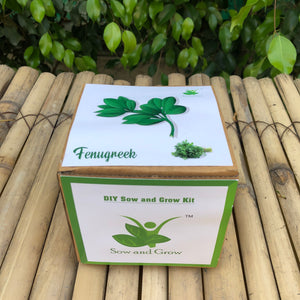 Sow and Grow DIY Gardening Kit of Methi/Fenugreek (Grow it Yourself Vegetable Kit)
