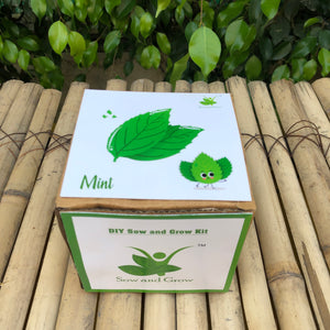 Sow and Grow DIY Gardening Kit of Mint (Grow it Yourself Herb Kit)