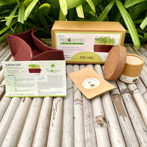 Microgreens Grow Kit: Pak Choi 25 grams || Easy to Use Kit for Beginner Gardeners