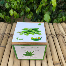 Load image into Gallery viewer, Sow and Grow DIY Gardening Kit of Peas /Matar (Grow it Yourself Vegetable Kit)
