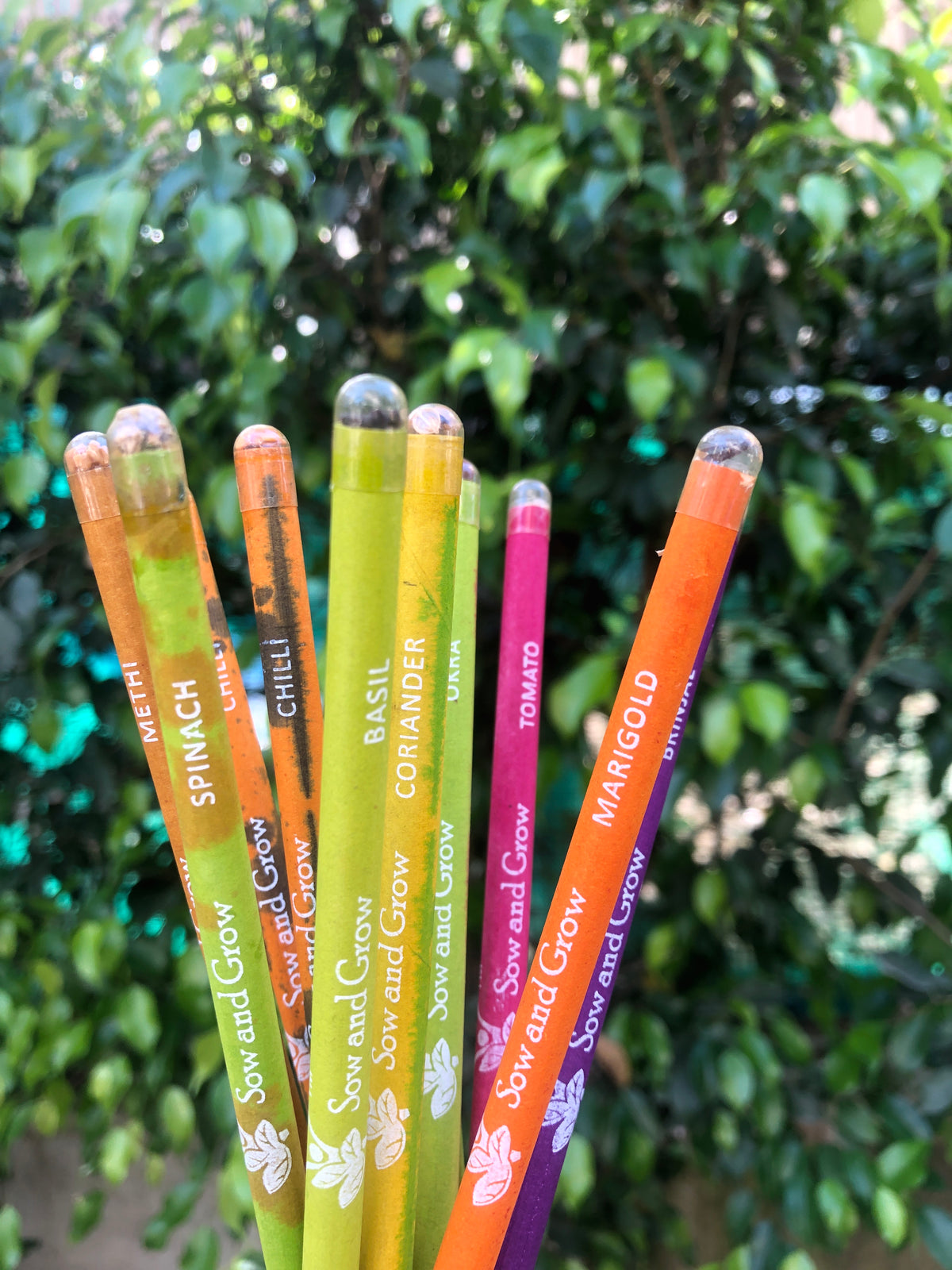 Sow and Grow Eco-Friendly Plantable Diary and Seed Pencil Combo | Set of 5