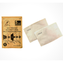 Load image into Gallery viewer, 2 Pieces Anti-Pollution 5 Layers Activated Carbon PM2.5 Replaceable Filter
