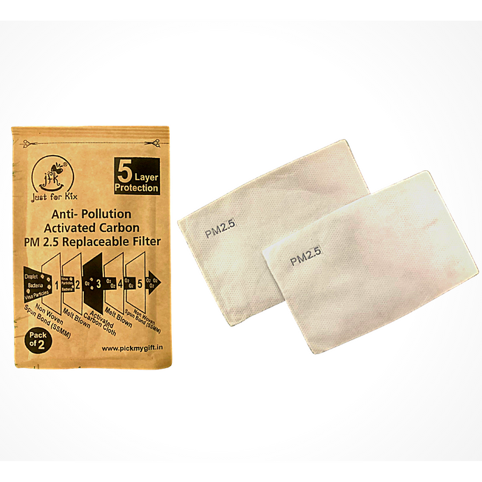 2 Pieces Anti-Pollution 5 Layers Activated Carbon PM2.5 Replaceable Filter