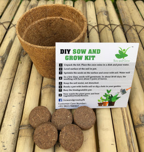 Sow and Grow DIY Gardening Grow Kit of Marigold (Grow it Yourself Flower Kit)