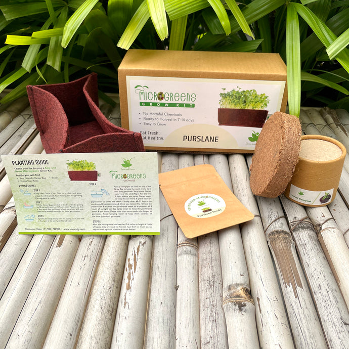 Microgreens Grow Kit: Purslane 20 grams || Easy to Use Kit for Beginner Gardeners