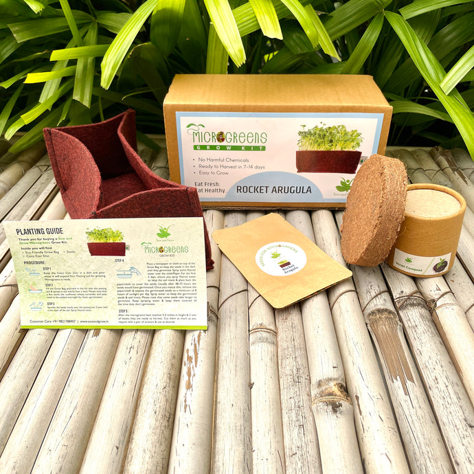 Microgreens Grow Kit: Rocket Arugula 20 grams || Easy to Use Kit for Beginner Gardeners
