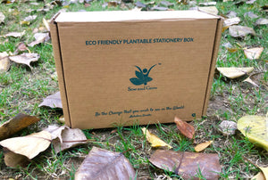 5 Seed Paper Pen + 5 Seed Pencils + 1 Seed Diary + 1 Seed ball in an Eco-friendly Box