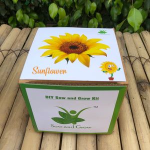 Sow and Grow DIY Gardening Kit of Sunflower: Best Suited for 25-40 degrees temperatures
