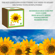 Load image into Gallery viewer, Sow and Grow DIY Gardening Kit of Sunflower: Best Suited for 25-40 degrees temperatures
