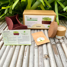 Load image into Gallery viewer, Microgreens Grow Kit: Turnip 30 grams || Easy to Use Kit for Beginner Gardeners
